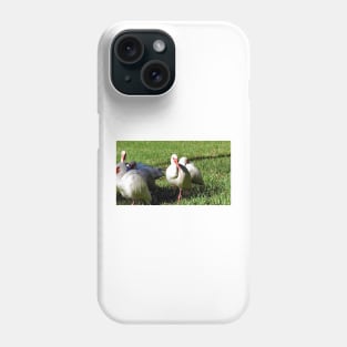 American White Ibis Phone Case