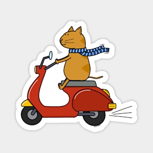 Cat on a scooter Magnet