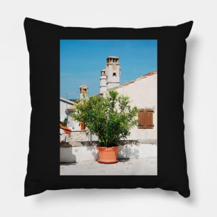 Oleander in Pican Pillow