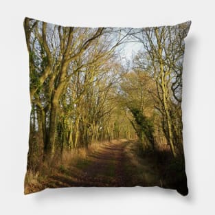 Path Between the Trees Pillow