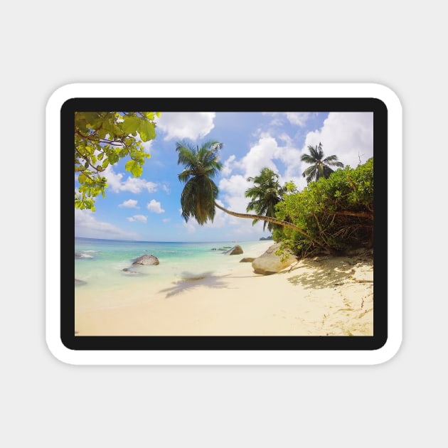 Seychelles beach palm tree print Magnet by simplythewest