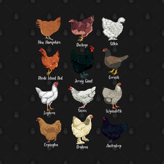 Chickens of the world - types of chickens by Modern Medieval Design