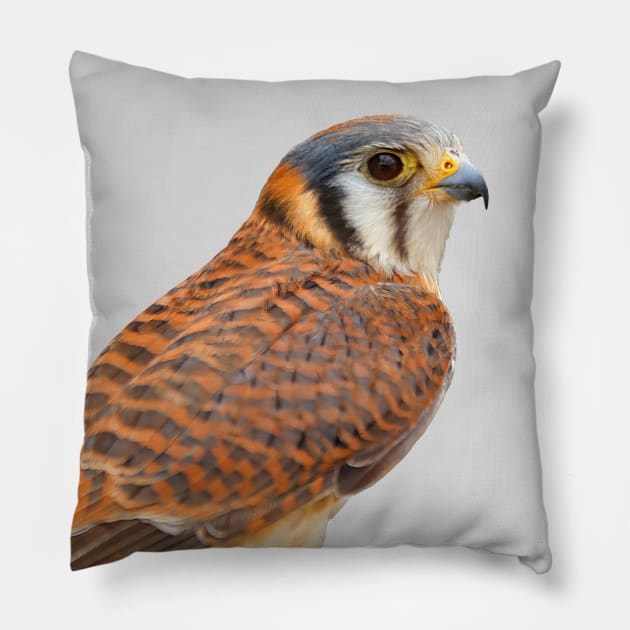 Profile of a American Kestrel Sparrowhawk Pillow by walkswithnature