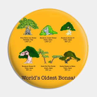 World’s Oldest Bonsai Pin