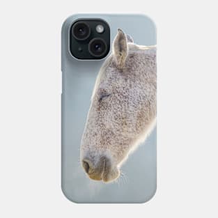 Smiling Horse Phone Case