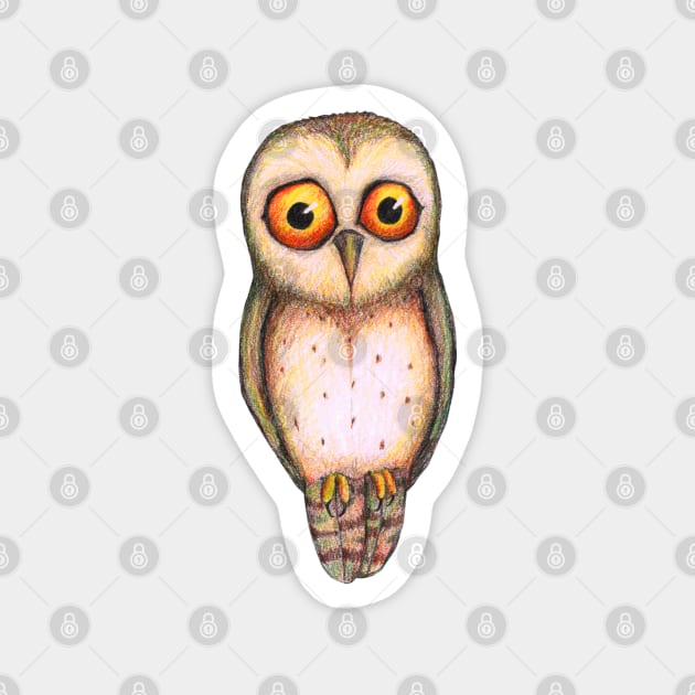 Sad little owl Magnet by Bwiselizzy