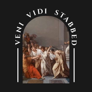 veni vidi stabbed T-Shirt