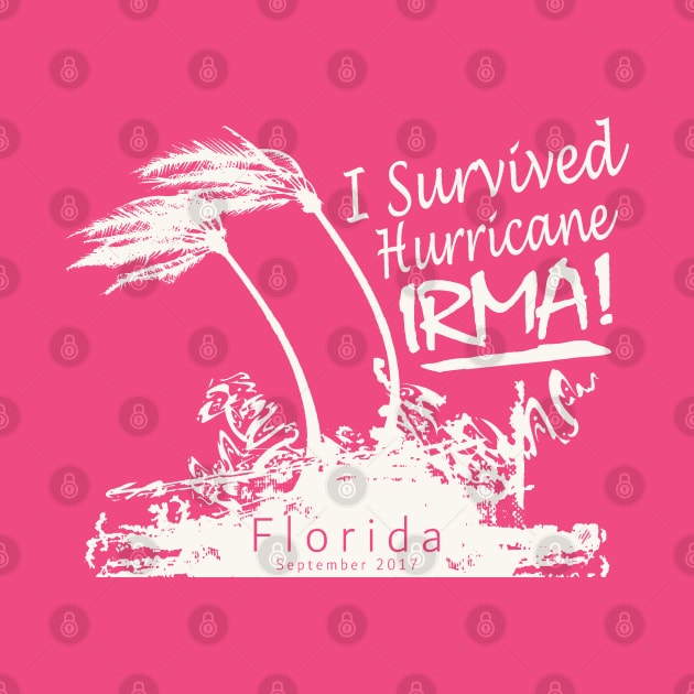 Hurricane Irma Survivor by Etopix