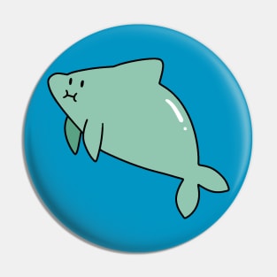 Dolphin with a Funny Face Pin