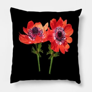 Red Anemone Wildflower Vector Art Cut Out Pillow