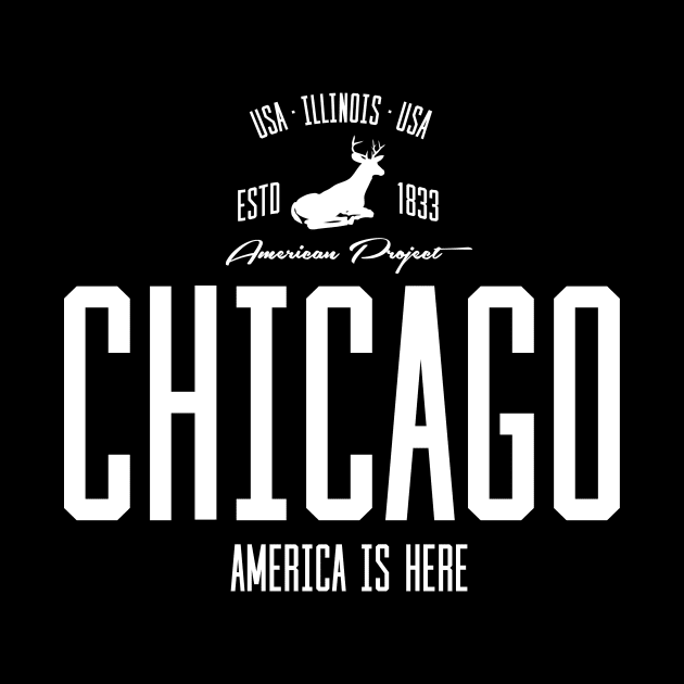 USA, America, Chicago, Illinois by NEFT PROJECT