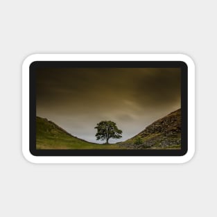 Sycamore Gap Hadrians wall Magnet