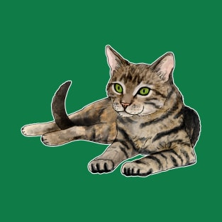 Tabby cat T-Shirt