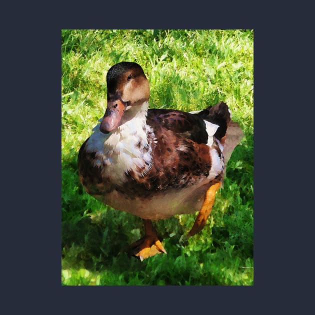 Birds - Duck With Attitude by SusanSavad