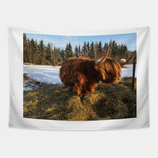 Scottish Highland Cattle Cow 1689 Tapestry