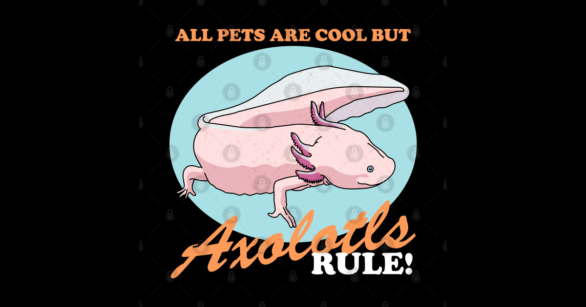 Axolotls Rule Axolotl Lover Axolotl Sticker Teepublic