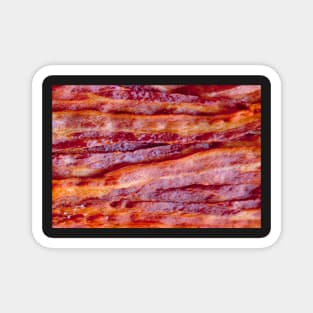 Tasty Crispy Bacon Magnet