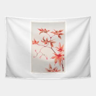 Momiji Maple Tree With Leaves And Seeds by Megata Morikaga Tapestry