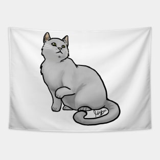 Cat - Eurpoean Shorthair - Gray Tapestry