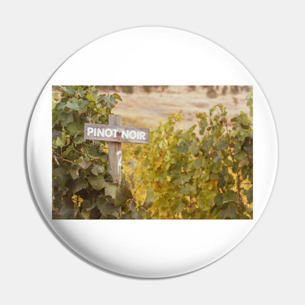 Pinot Noir Wine Painted Sign and Grapevines in Vineyard Pin by Amy-K-Mitchell