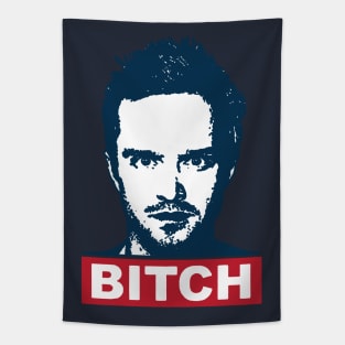 Jesse Pinkman Jesse Pinkman you will be my slave Tapestry