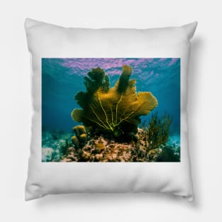 The Weirwater Pillow