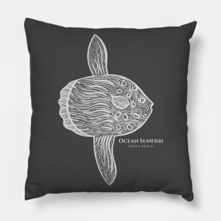 Ocean Sunfish with Common and Scientific Names - fish drawing Pillow