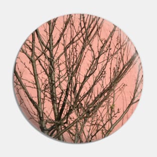 Bare tree against a pink wall Pin