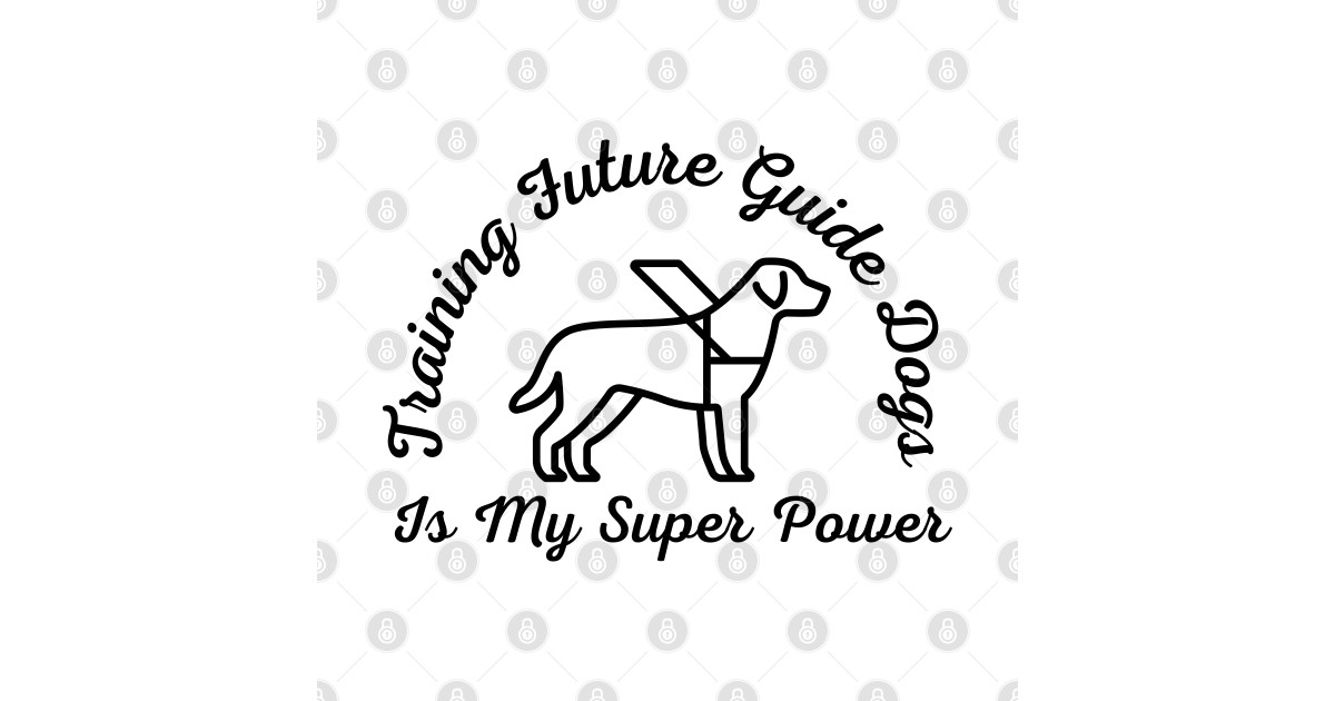 Training Future Guide Dogs Is My Super Power - Guide Dog for the Blind ...