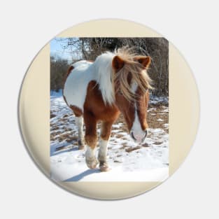 Wild horses, wildlife, gifts, Assateague Island, Wild Beauty Pin