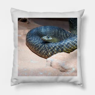 Inland Taipan Pillow