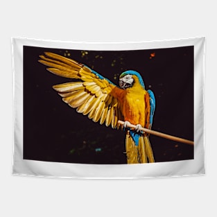 Blue-and-yellow macaw Tapestry