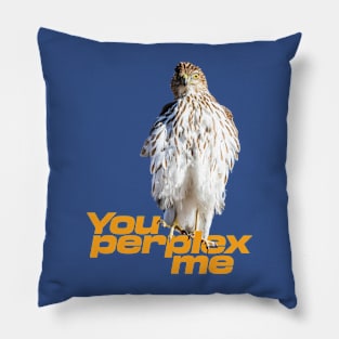 You perplex me Pillow