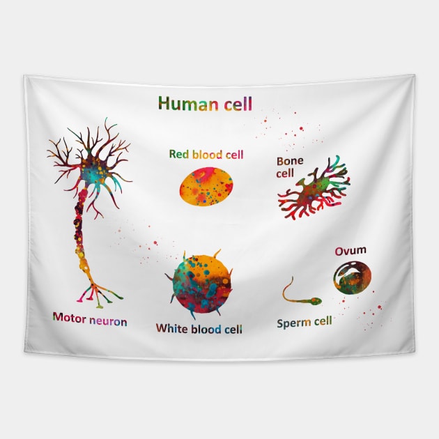 Human cell Tapestry by erzebeth