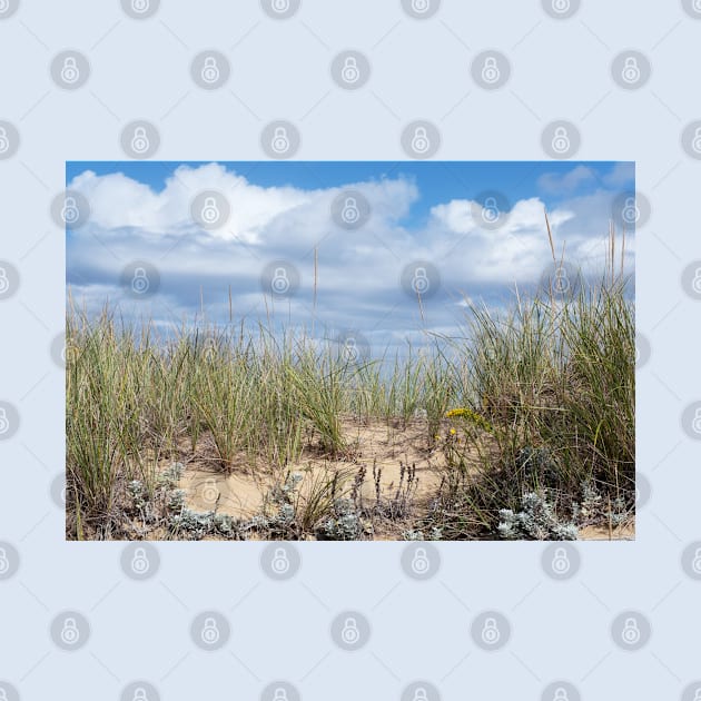 Light Green Grasses and Clouds! by nancy.hajjar@yahoo.com