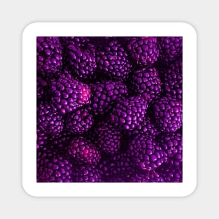 Fresh Delicious Blackberries in Purple Magnet