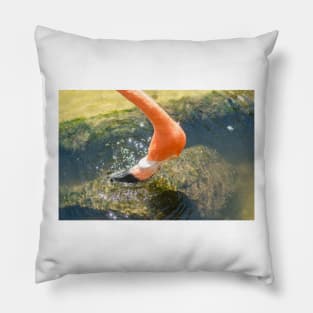 Flamingo head Pillow