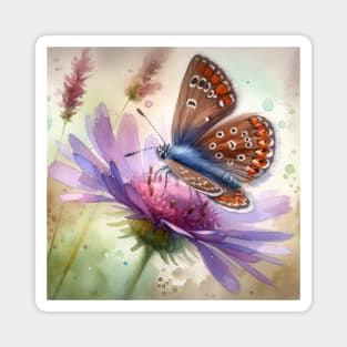 Brown Argus - Watercolor Butterfly Magnet