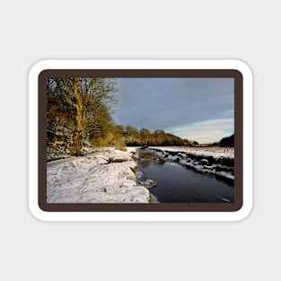 Winter's day near the Seaton Burn Magnet