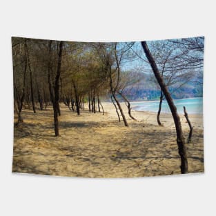 Pine tree forest at Pacitan beach with mountain in backround Tapestry