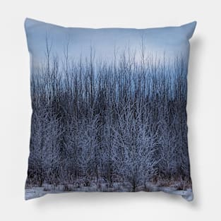 Cold Winter Scene. Pillow