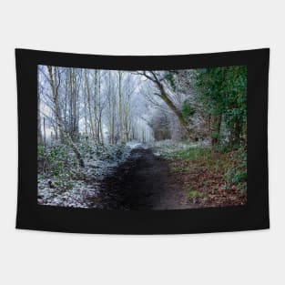 Forest path in winter Tapestry