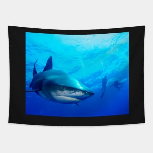 Close Shark with Scuba Diver Tapestry