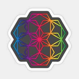 Hexagon Flower Sacred Geometry Magnet