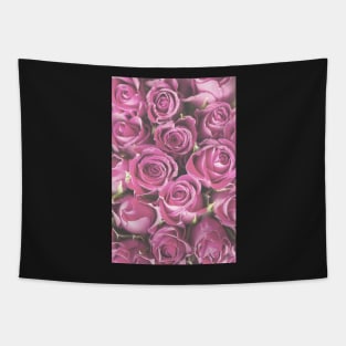 Pale Pink Roses Photo Tapestry