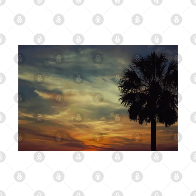 Florida sunset with Palm Tree by AdrianaHolmesArt