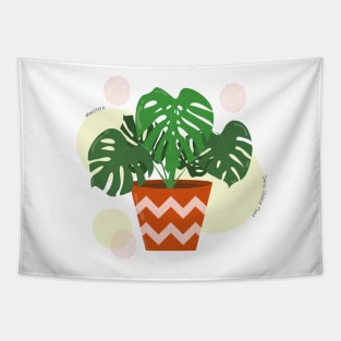 Monstera plant in the ceramic pot Tapestry