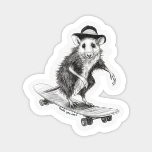 Opossum On A Skateboard: Made You Look Magnet