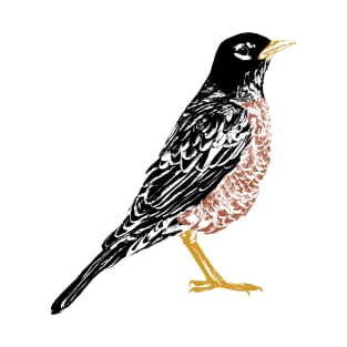 American Robin Litho edit T-Shirt