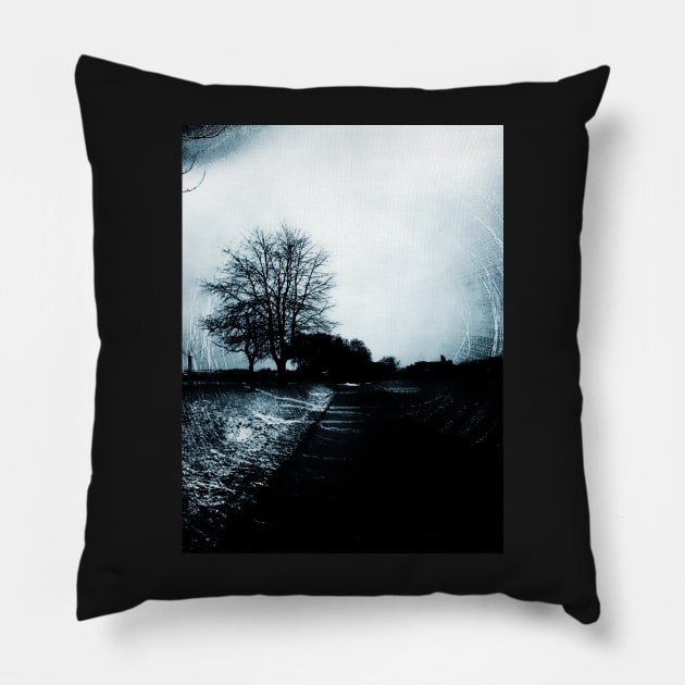 Winter in Germania 2 Pillow by Marsal